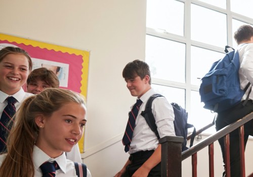 Do Private Schools Achieve Better Results?